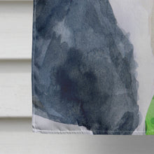 Load image into Gallery viewer, Harlequin Great Dane St Patrick's Flag Canvas House Size BB9817CHF