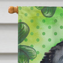 Load image into Gallery viewer, Bernese Mountain Dog St Patrick's Flag Canvas House Size BB9819CHF