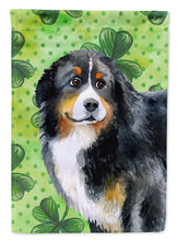 Load image into Gallery viewer, Bernese Mountain Dog St Patrick's Flag Canvas House Size BB9819CHF