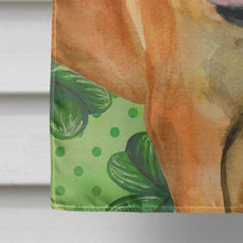 Load image into Gallery viewer, Boerboel Mastiff St Patrick's Flag Canvas House Size BB9820CHF