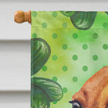 Load image into Gallery viewer, Dachshund St Patrick's Flag Canvas House Size BB9826CHF