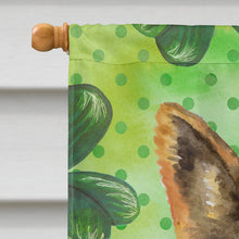 Load image into Gallery viewer, German Shepherd St Patrick's Flag Canvas House Size BB9828CHF