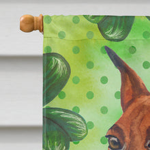 Load image into Gallery viewer, Miniature Pinscher St Patrick's Flag Canvas House Size BB9830CHF