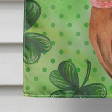 Load image into Gallery viewer, Miniature Pinscher St Patrick's Flag Canvas House Size BB9830CHF