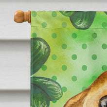 Load image into Gallery viewer, Chihuahua St Patrick's Flag Canvas House Size BB9832CHF