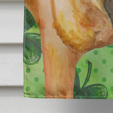 Load image into Gallery viewer, Shar Pei St Patrick's Flag Canvas House Size BB9835CHF