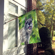 Load image into Gallery viewer, Schnauzer St Patrick's Flag Canvas House Size BB9836CHF