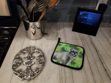 Load image into Gallery viewer, Schnauzer St Patrick's Pot Holders - Set of 2 - Heat-Resistant Kitchen Essentials BB9836PTHD