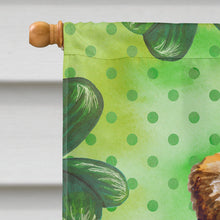 Load image into Gallery viewer, Small Brabant Griffon St Patrick's Flag Canvas House Size BB9841CHF