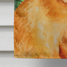 Load image into Gallery viewer, Small Brabant Griffon St Patrick's Flag Canvas House Size BB9841CHF