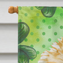 Load image into Gallery viewer, Morkie St Patrick's Flag Canvas House Size BB9842CHF