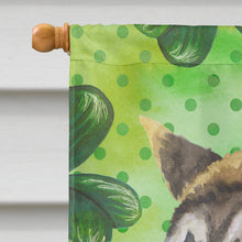 Load image into Gallery viewer, American Akita St Patrick's Flag Canvas House Size BB9843CHF