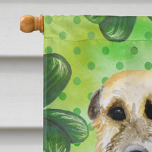 Load image into Gallery viewer, Irish Wolfhound St Patrick's Flag Canvas House Size BB9844CHF