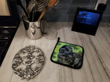 Load image into Gallery viewer, Newfoundland St Patrick's Pot Holders - Set of 2 - Heat-Resistant Kitchen Essentials BB9845PTHD