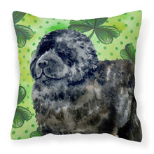 Load image into Gallery viewer, Newfoundland St Patrick's Fabric Decorative Pillow BB9845PW1818