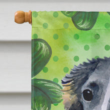 Load image into Gallery viewer, Borzoi St Patrick's Flag Canvas House Size BB9846CHF