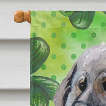 Load image into Gallery viewer, Moscow Watchdog St Patrick's Flag Canvas House Size BB9847CHF