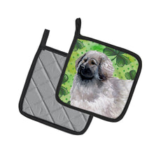 Load image into Gallery viewer, Moscow Watchdog St Patrick's Pot Holders - Set of 2 - Heat-Resistant Kitchen Essentials BB9847PTHD