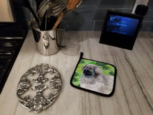 Load image into Gallery viewer, Moscow Watchdog St Patrick's Pot Holders - Set of 2 - Heat-Resistant Kitchen Essentials BB9847PTHD