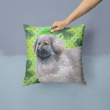 Load image into Gallery viewer, Moscow Watchdog St Patrick's Throw Pillow - 14x14 Decorative Pillow – Art for Your Home &amp; Patio BB9847PW1414