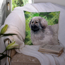Load image into Gallery viewer, Moscow Watchdog St Patrick's Throw Pillow - 14x14 Decorative Pillow – Art for Your Home &amp; Patio BB9847PW1414