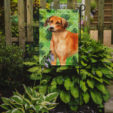 Load image into Gallery viewer, Rhodesian Ridgeback St Patrick's Garden Flag - Outdoor Decorative Yard Flag BB9850GF