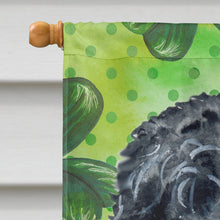 Load image into Gallery viewer, Black Russian Terrier St Patrick's Flag Canvas House Size BB9851CHF