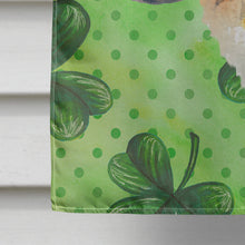 Load image into Gallery viewer, Saint Bernard St Patrick's Flag Canvas House Size BB9853CHF