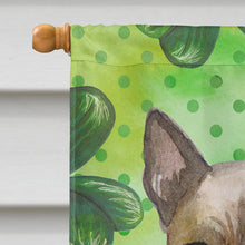 Load image into Gallery viewer, Thai Ridgeback St Patrick's Flag Canvas House Size BB9854CHF