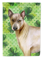 Load image into Gallery viewer, Thai Ridgeback St Patrick's Flag Canvas House Size BB9854CHF