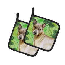 Load image into Gallery viewer, Thai Ridgeback St Patrick's Pot Holders - Set of 2 - Heat-Resistant Kitchen Essentials BB9854PTHD