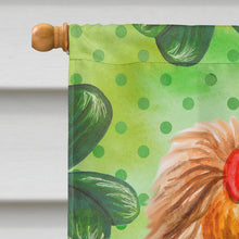 Load image into Gallery viewer, Yorkshire Terrier St Patrick's Flag Canvas House Size BB9859CHF