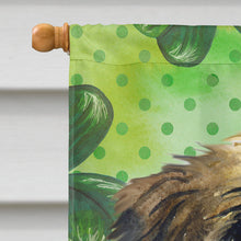 Load image into Gallery viewer, Brussels Griffon St Patrick's Flag Canvas House Size BB9861CHF