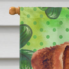 Load image into Gallery viewer, Jack Russell Terrier St Patrick's Flag Canvas House Size BB9863CHF