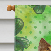 Load image into Gallery viewer, Cairn Terrier St Patrick's Flag Canvas House Size BB9864CHF