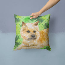 Load image into Gallery viewer, Cairn Terrier St Patrick's Throw Pillow - 14x14 Decorative Pillow – Art for Your Home &amp; Patio BB9864PW1414