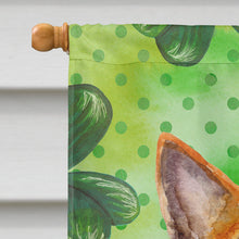 Load image into Gallery viewer, Basenji St Patrick's Flag Canvas House Size BB9866CHF