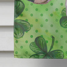 Load image into Gallery viewer, Bull Terrier St Patrick's Flag Canvas House Size BB9867CHF