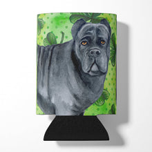 Load image into Gallery viewer, Cane Corso St Patrick's Can or Bottle Hugger BB9868CC