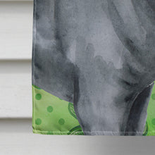 Load image into Gallery viewer, Cane Corso St Patrick's Flag Canvas House Size BB9868CHF