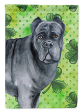Load image into Gallery viewer, Cane Corso St Patrick's Flag Canvas House Size BB9868CHF