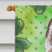 Load image into Gallery viewer, Siberian Husky Grey St Patrick's Flag Canvas House Size BB9870CHF