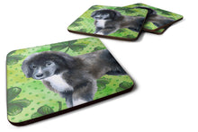Load image into Gallery viewer, Newfoundland Puppy St Patrick's Coasters - Set of 4 Lightweight Foam, Absorbent Drink Coasters
