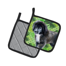 Load image into Gallery viewer, Newfoundland Puppy St Patrick's Pot Holders - Set of 2 - Heat-Resistant Kitchen Essentials BB9873PTHD