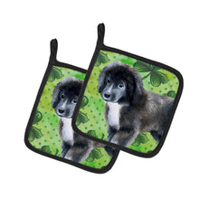 Load image into Gallery viewer, Newfoundland Puppy St Patrick's Pot Holders - Set of 2 - Heat-Resistant Kitchen Essentials BB9873PTHD