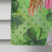 Load image into Gallery viewer, Afghan Hound St Patrick's Flag Canvas House Size BB9876CHF