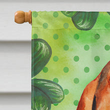 Load image into Gallery viewer, Basset Hound St Patrick's Flag Canvas House Size BB9878CHF