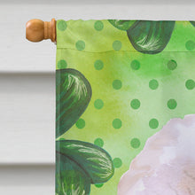 Load image into Gallery viewer, Bichon Frise #2 St Patrick's Flag Canvas House Size BB9879CHF