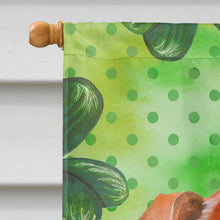 Load image into Gallery viewer, Red Dachshund St Patrick's Flag Canvas House Size BB9881CHF