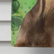 Load image into Gallery viewer, Doberman Pinscher St Patrick's Flag Canvas House Size BB9883CHF